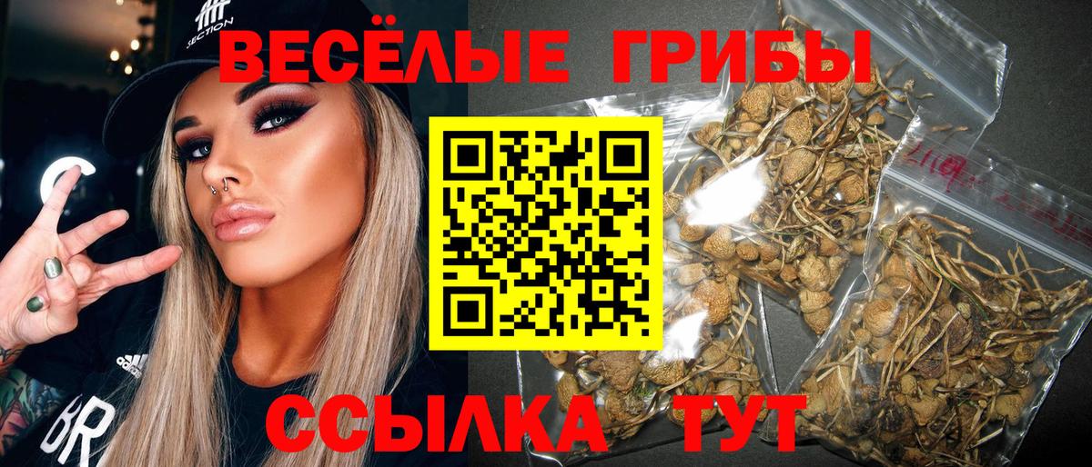 Туапсе  Псилоцибиновые грибы Psilocybine cubensis  Вход с VPN  Галлюциногенные грибы GOLDEN TEACHER 